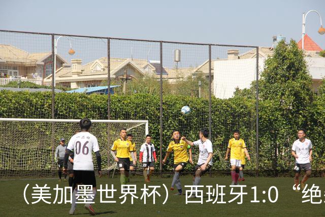 （美加墨世界杯）西班牙1:0“绝杀”葡萄牙 C罗结束世界杯征程
